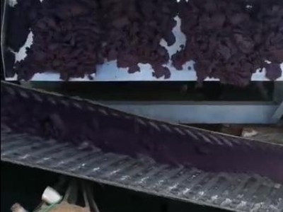 污水處理廠污泥處理現場
